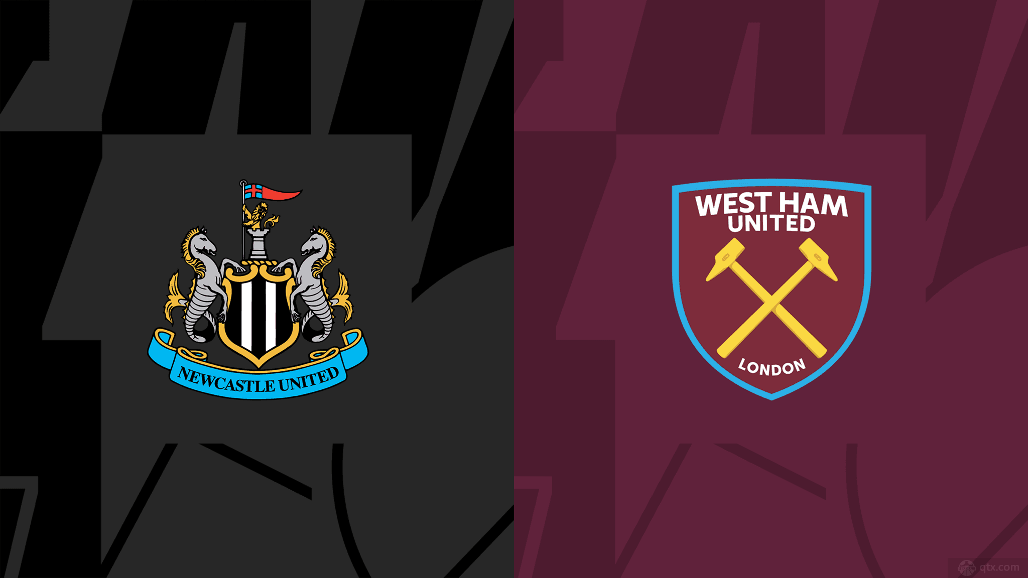 应环境的能 应环境的能