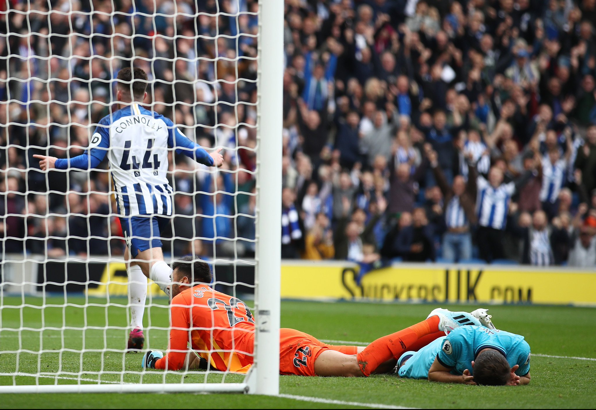 到了促进作 到了促进作